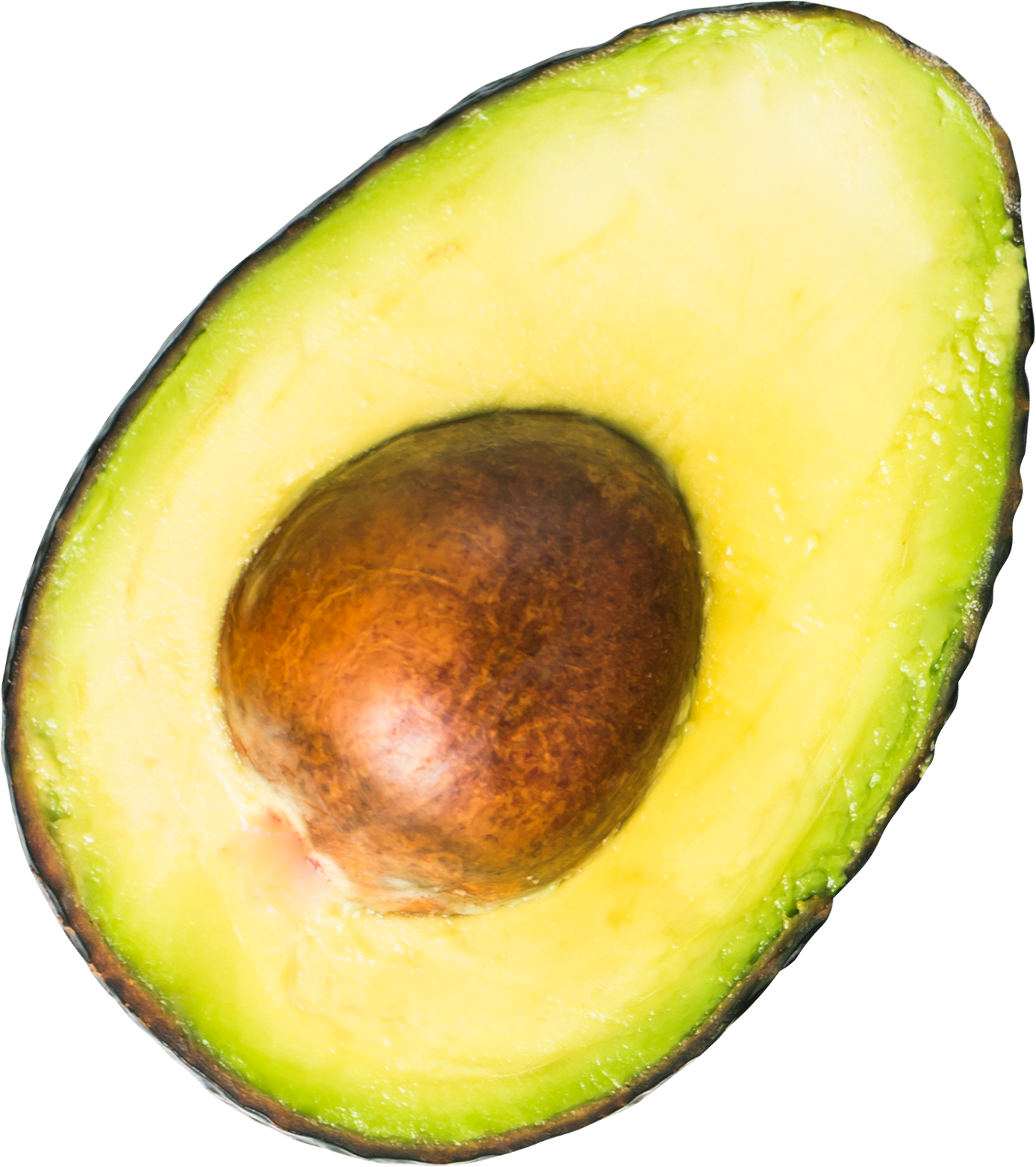 Avocat